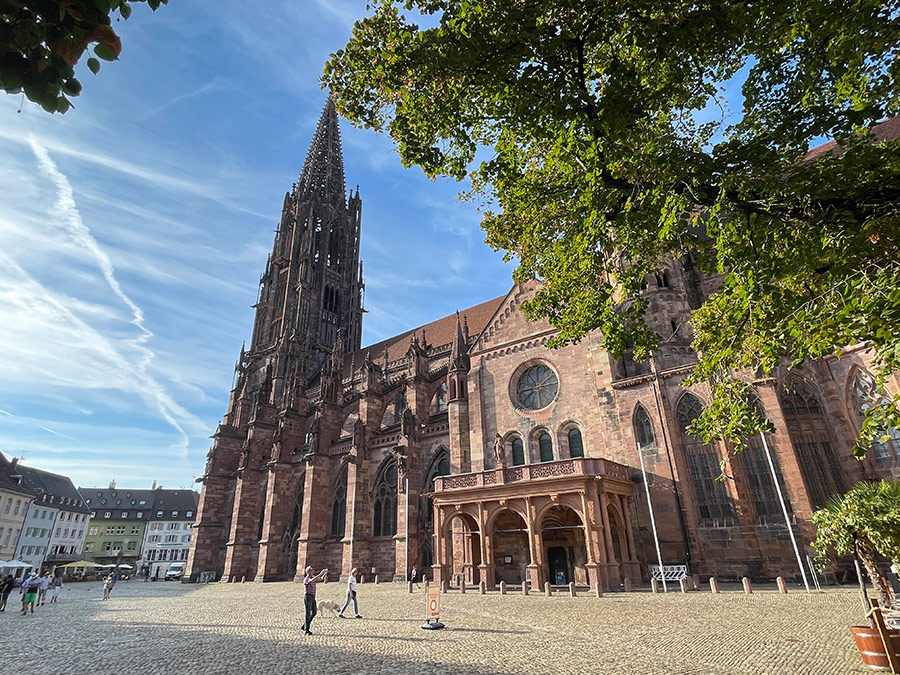 Freiburg – Münster, Bächle, mosaics Classic city tour of Freiburg